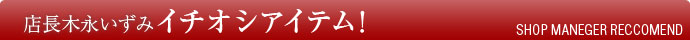 �X���C�`�I�V�I�A�C�e��